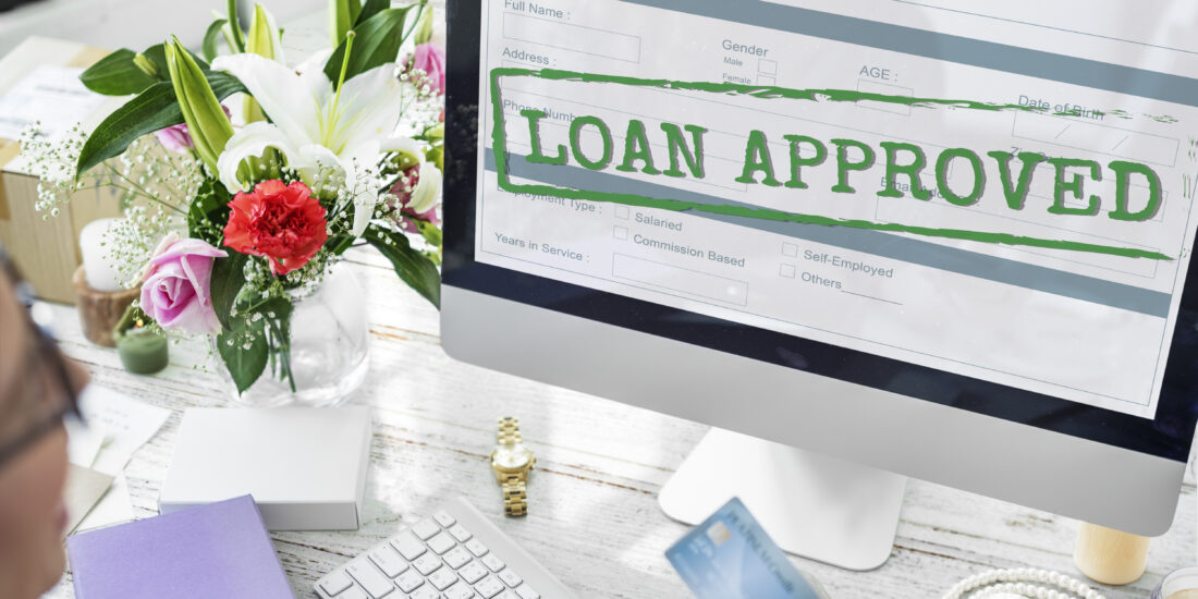 Micro Loan Processing Platform