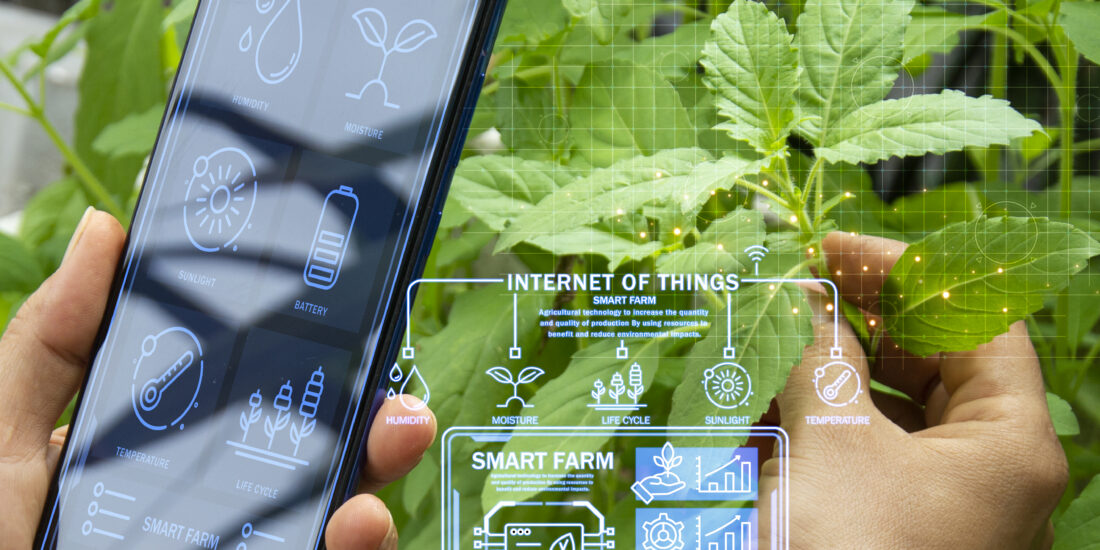 Agri IoT Device - The Client's Agricultural Innovation Success