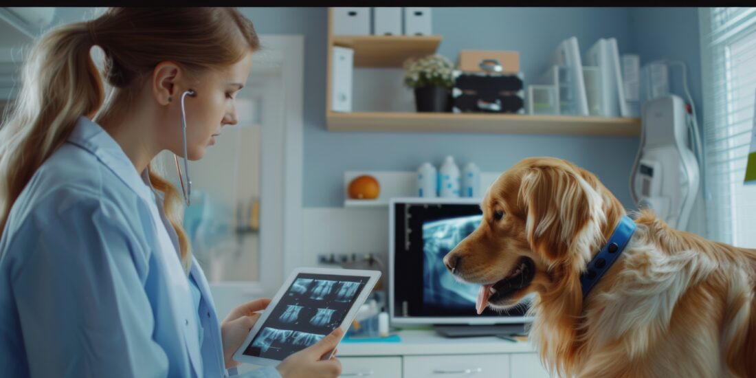 Optimizing Veterinary Care with a Smart Scheduling Platform