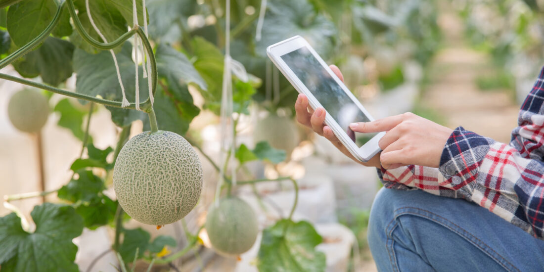 Fostering Agricultural Innovation: AI-Enabled Knowledge Dissemination and Collaboration Platform